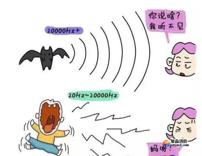 1646194179610891.png image.png